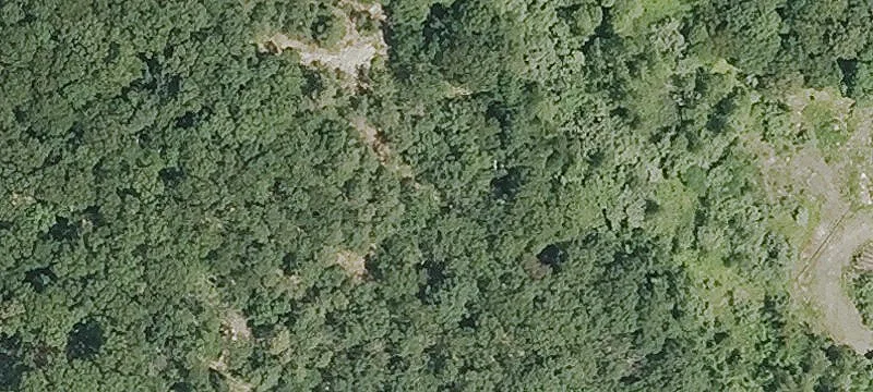 Totoket Rd