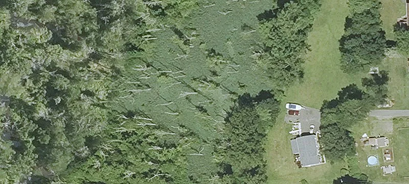 Shelter Rock Rd