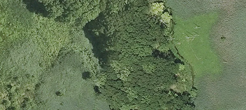 Shelter Rock Rd