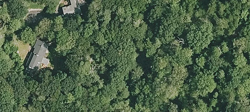 Williamsburg Cir