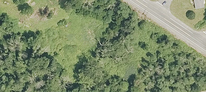 Fedus Rd