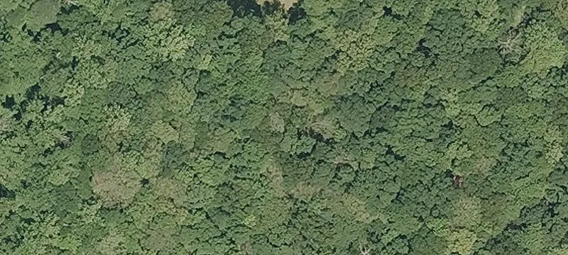 Bushy Hl Rd
