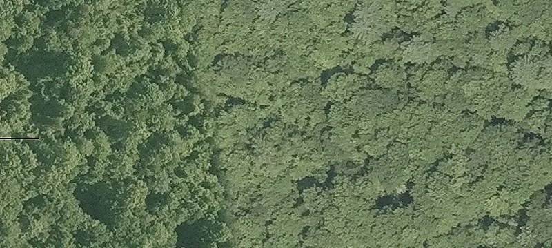 Nn Rd