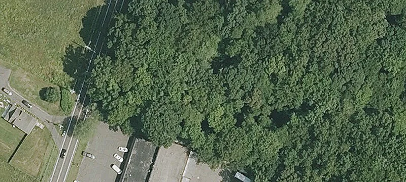 246 Woodland Ave