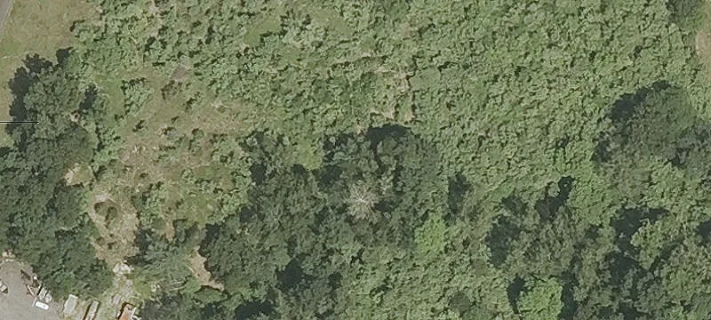 Lopus Rd
