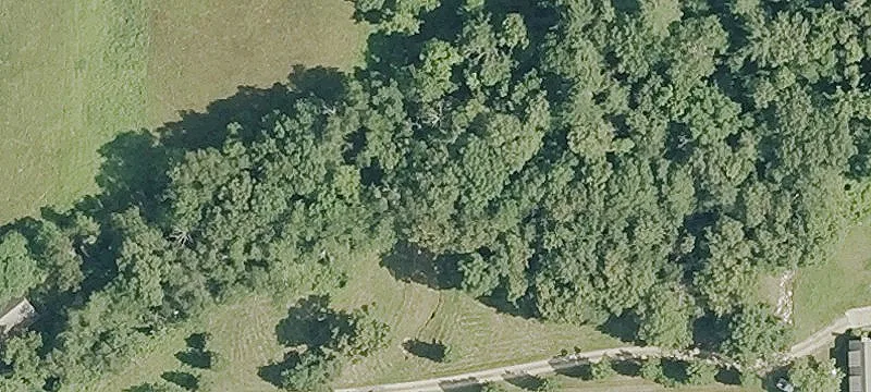 Locust Hl Rd