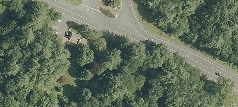 26 Maple St