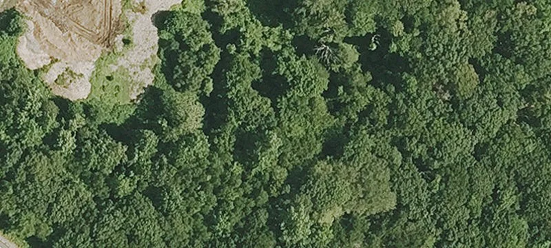 Saybrook Rd