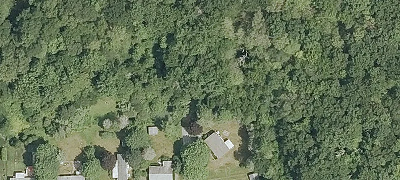 Rte 81