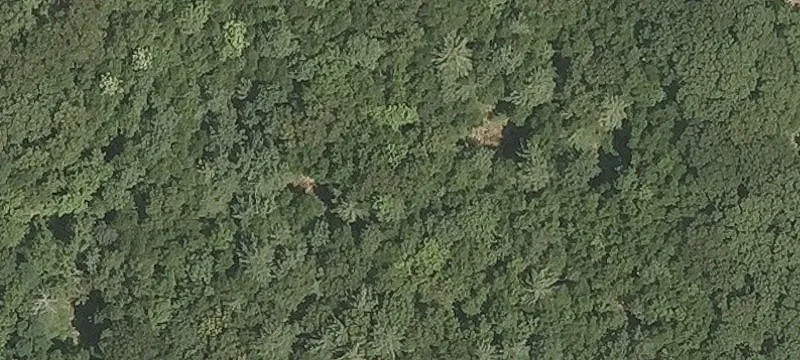 Lopus Rd
