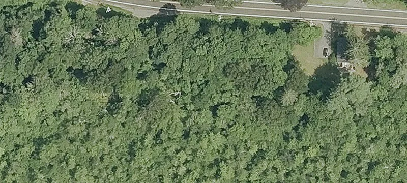 Rte 80