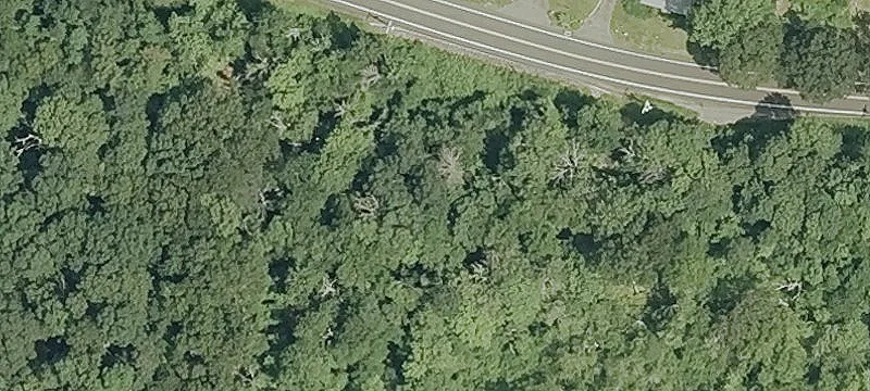 Rte 80
