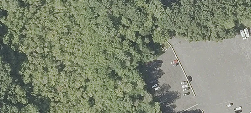 New Wood Rd