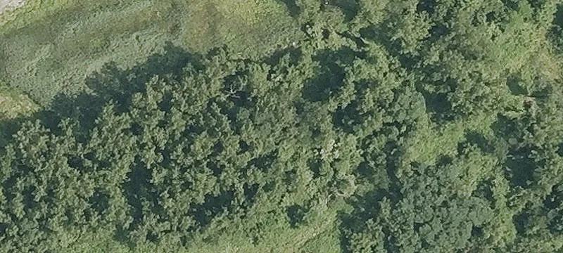Nn Rd