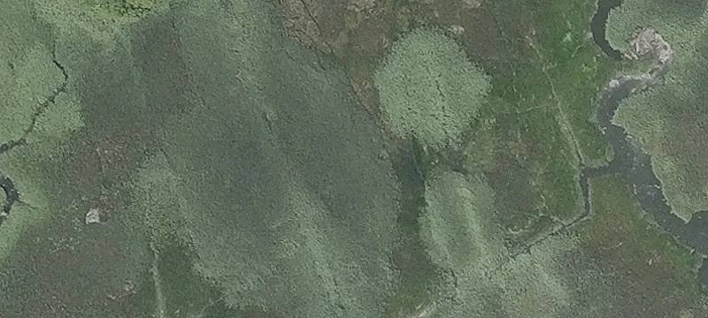 Nod Pl
