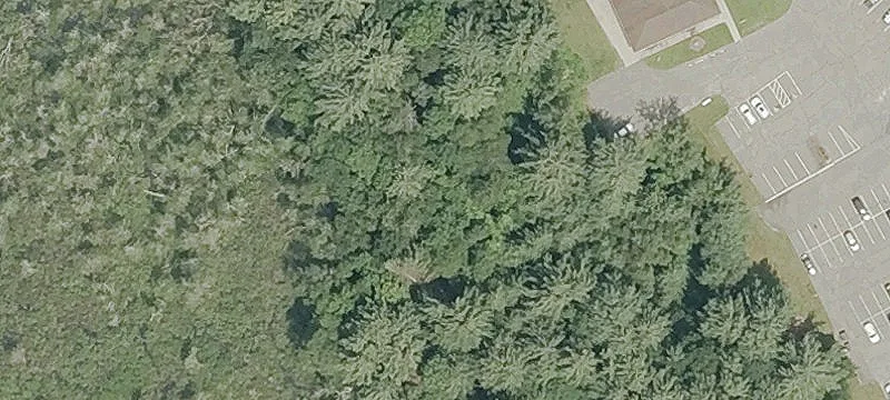 Stafford Rd