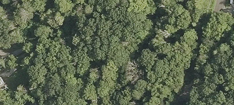 Wakefield Blvd