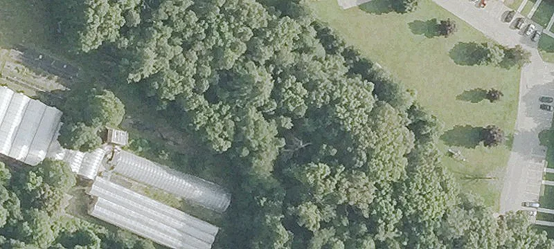 Willimantic Rd