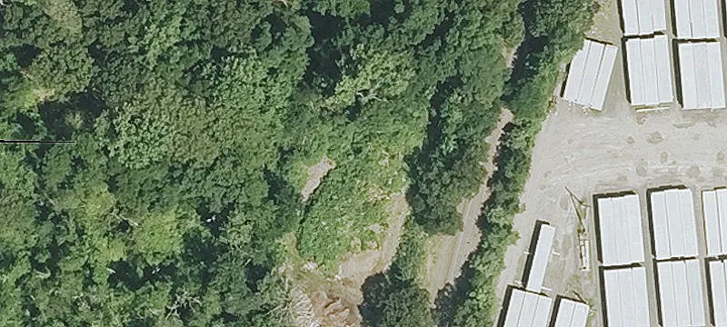 Branford Rd