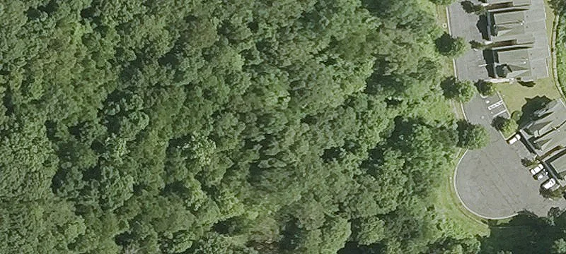 Shelter Rock Rd