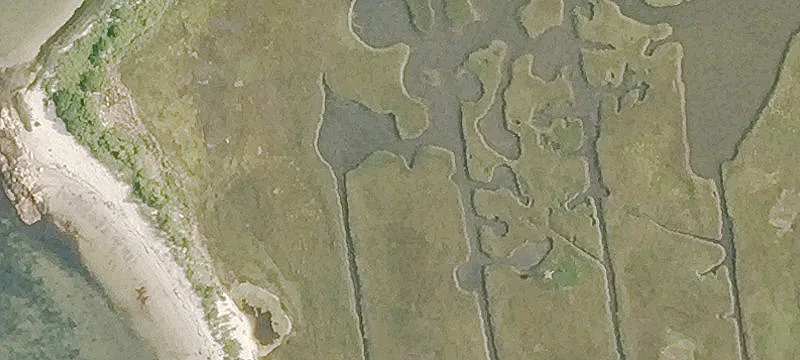 Old Black Pt Rd