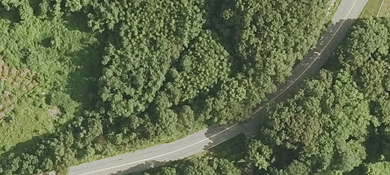Echo Lk Rd