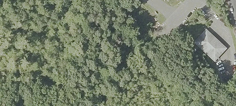 New Wood Rd
