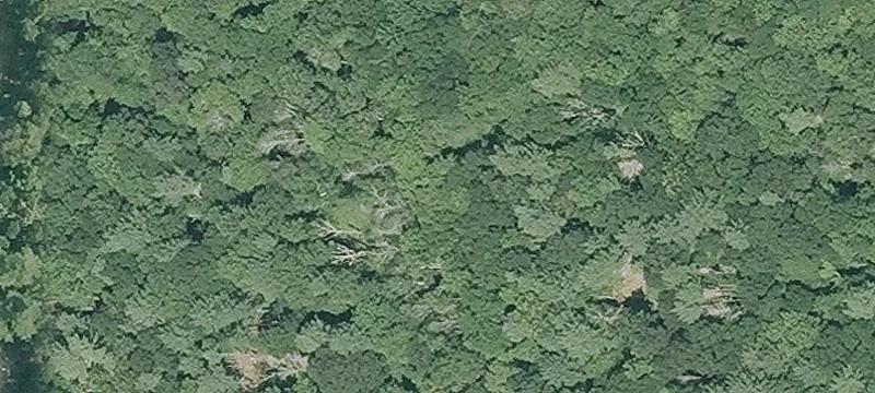 226 Gibson Hl Rd