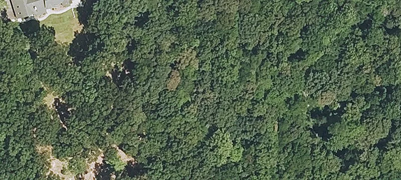 Tanglewood Dr