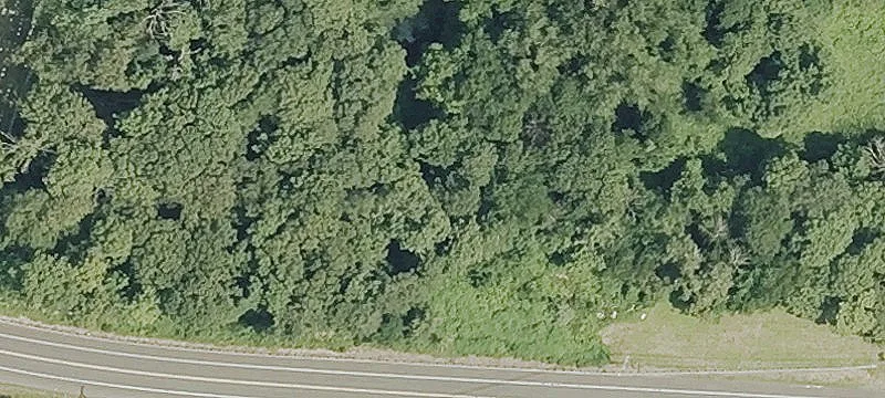 Rte 6th 6
