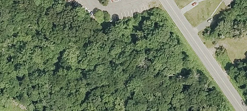 William F Palmer Rd