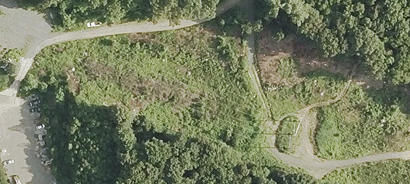 Nichols Rd