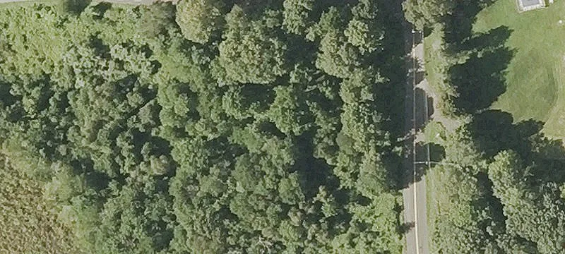 Linkfield Rd