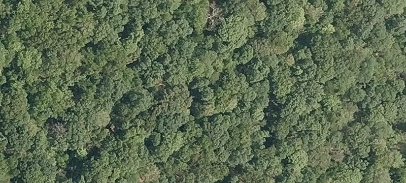 Bushy Hl Rd