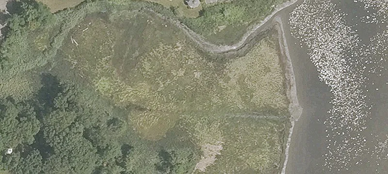 New Hvn Ave