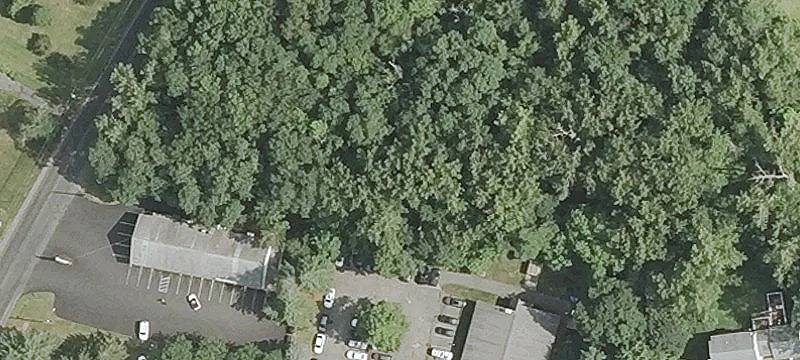 Stafford Rd