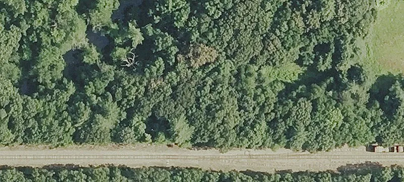 Bushnell Holw Rd
