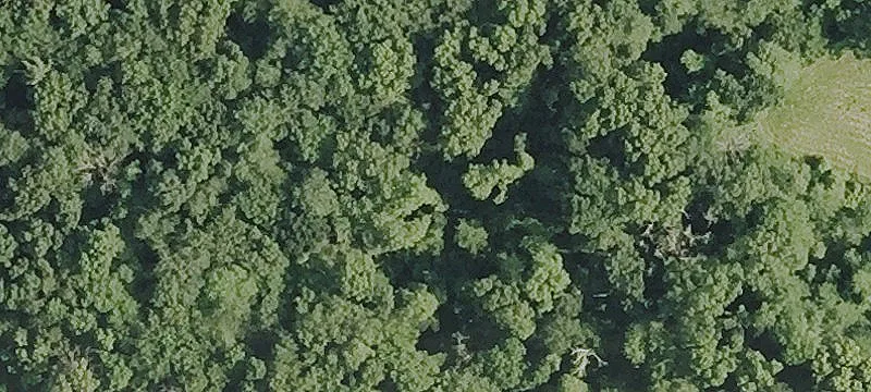 Rte 32