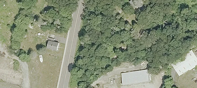 Willard Ave