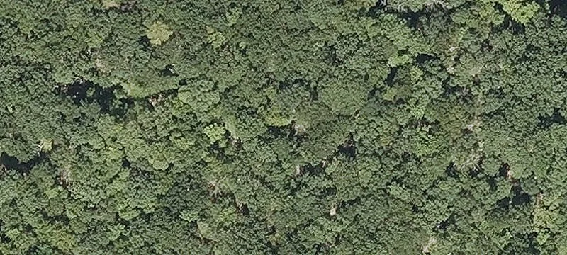 Mtn Rd