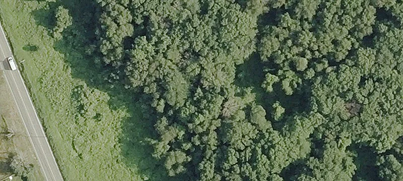 Rte 32