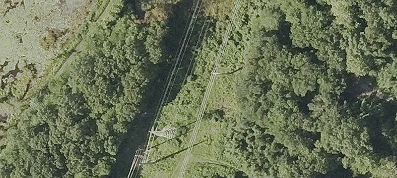 Larkey Rd
