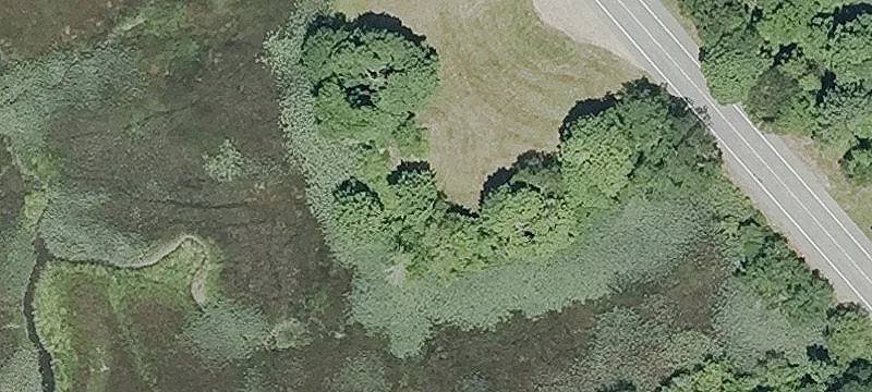 11 Shr Rd