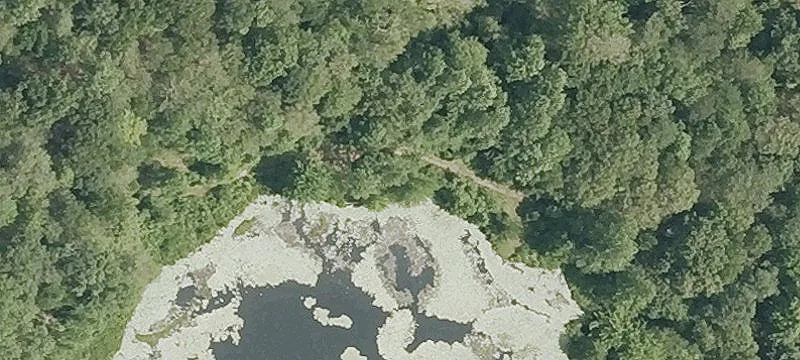 Bushy Hl Rd