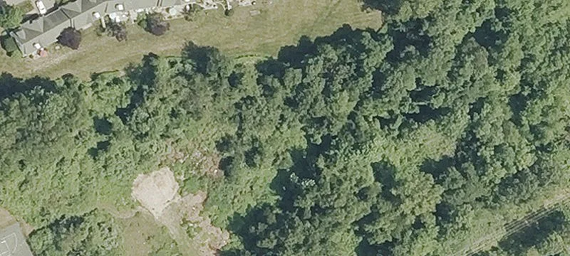 260 Hidden Cv Rdk1
