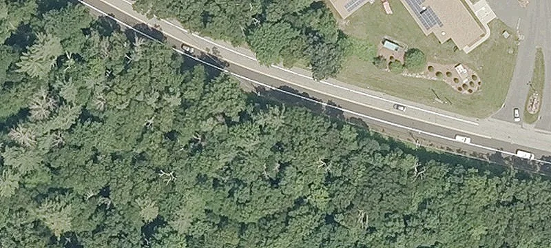 205 Chestnut Hl Rd