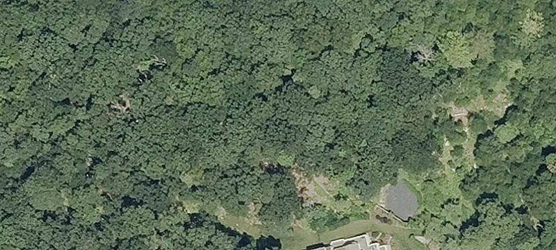 Winterberry Rd