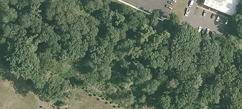 210 Satellite Rd