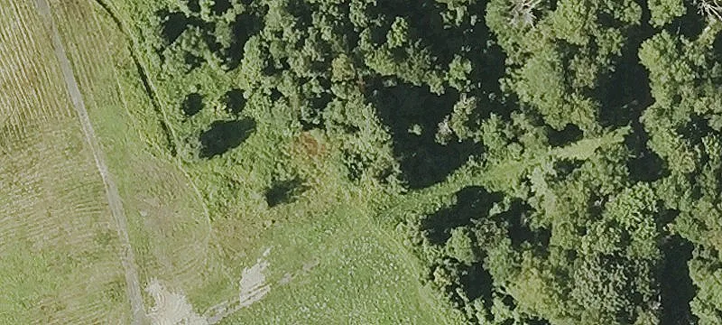 58 Mcbride Rd
