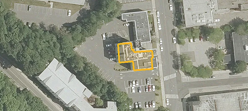 50 Olivia St
